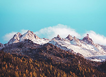 开云APP下载-怒吼天尊太冤？黑哨揭秘：裁判打赌看谁先吹华莱士T