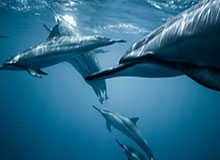 开云娱乐-崔康熙机关算尽却大意“失”珀斯 后防习惯性丢球