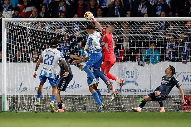 1766025726520057055.jpg 2252444022-612x612.jpg